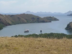Komodo Tour